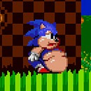 sonic 2 xl game